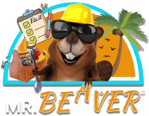 mr. Beaver